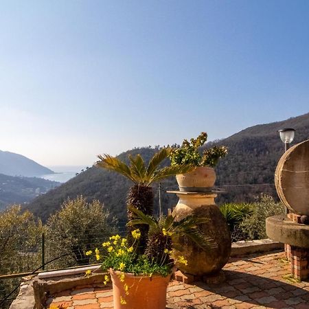 Villa Le Macine Molino Nuovo  Экстерьер фото
